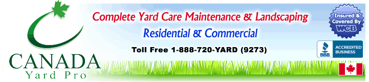 Canada Christmas Light Setup Services